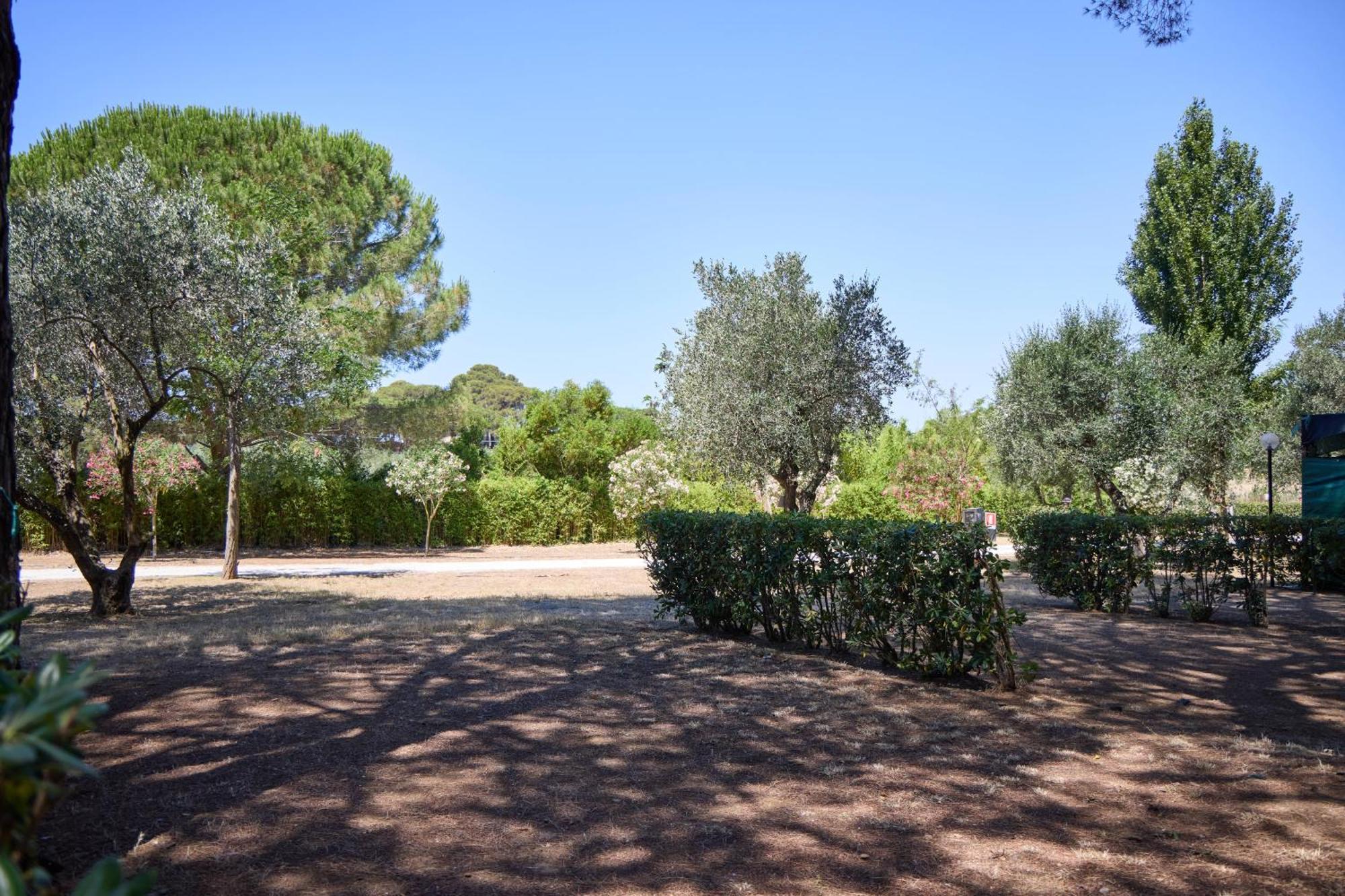 Costa D'Argento - Camping Village Club Capalbio Buitenkant foto