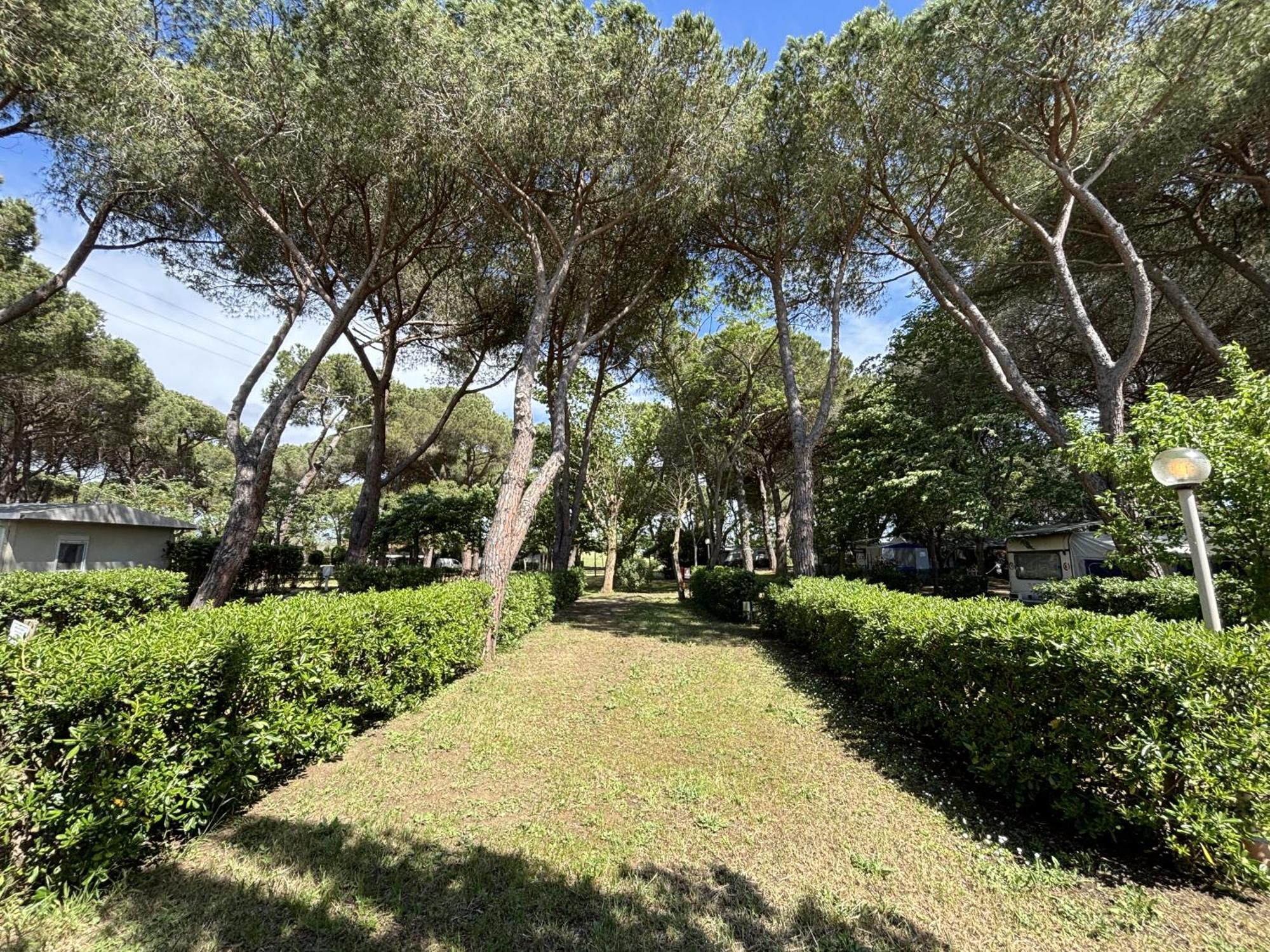 Costa D'Argento - Camping Village Club Capalbio Buitenkant foto